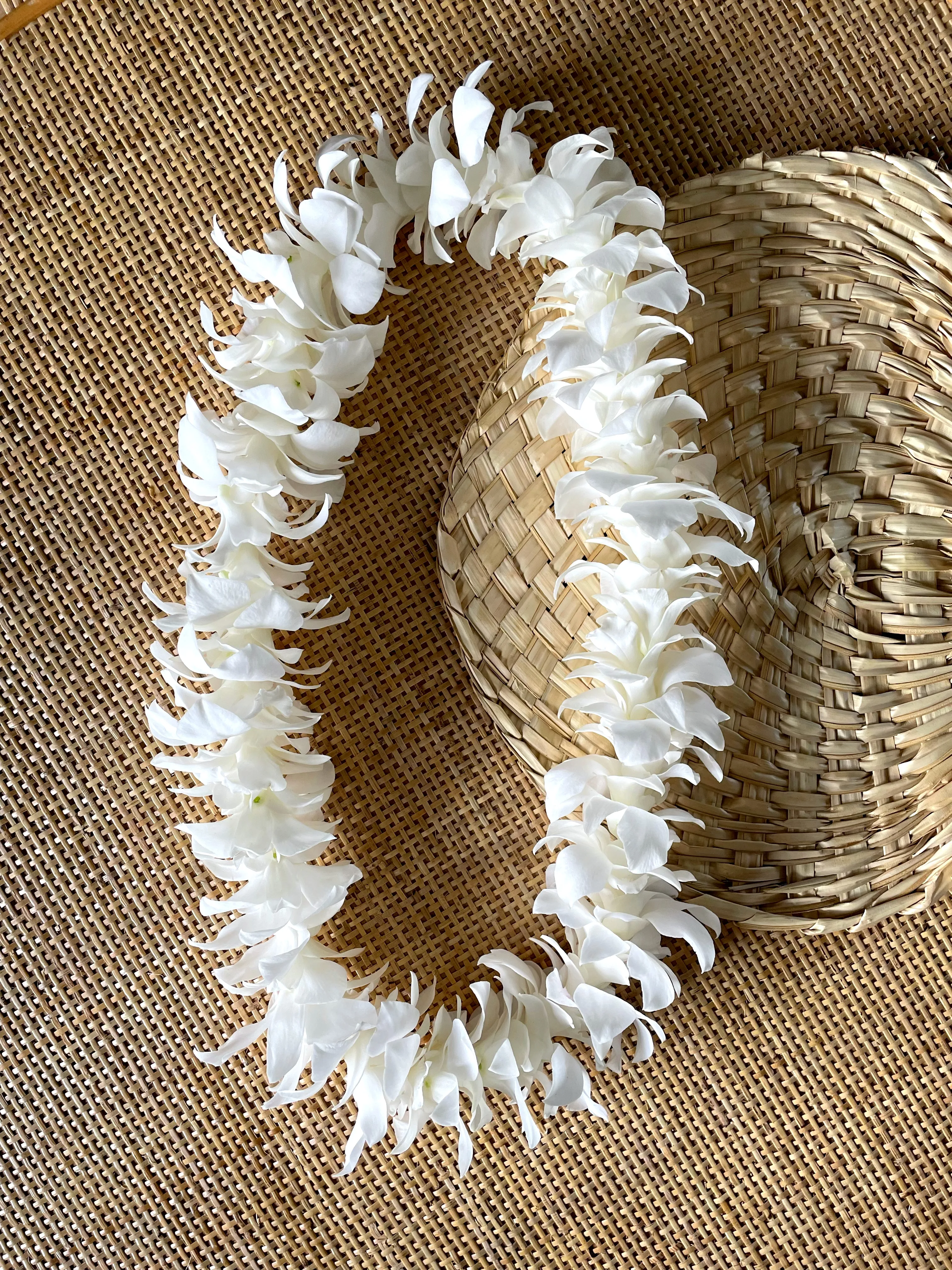 Orchid Lei (White) image