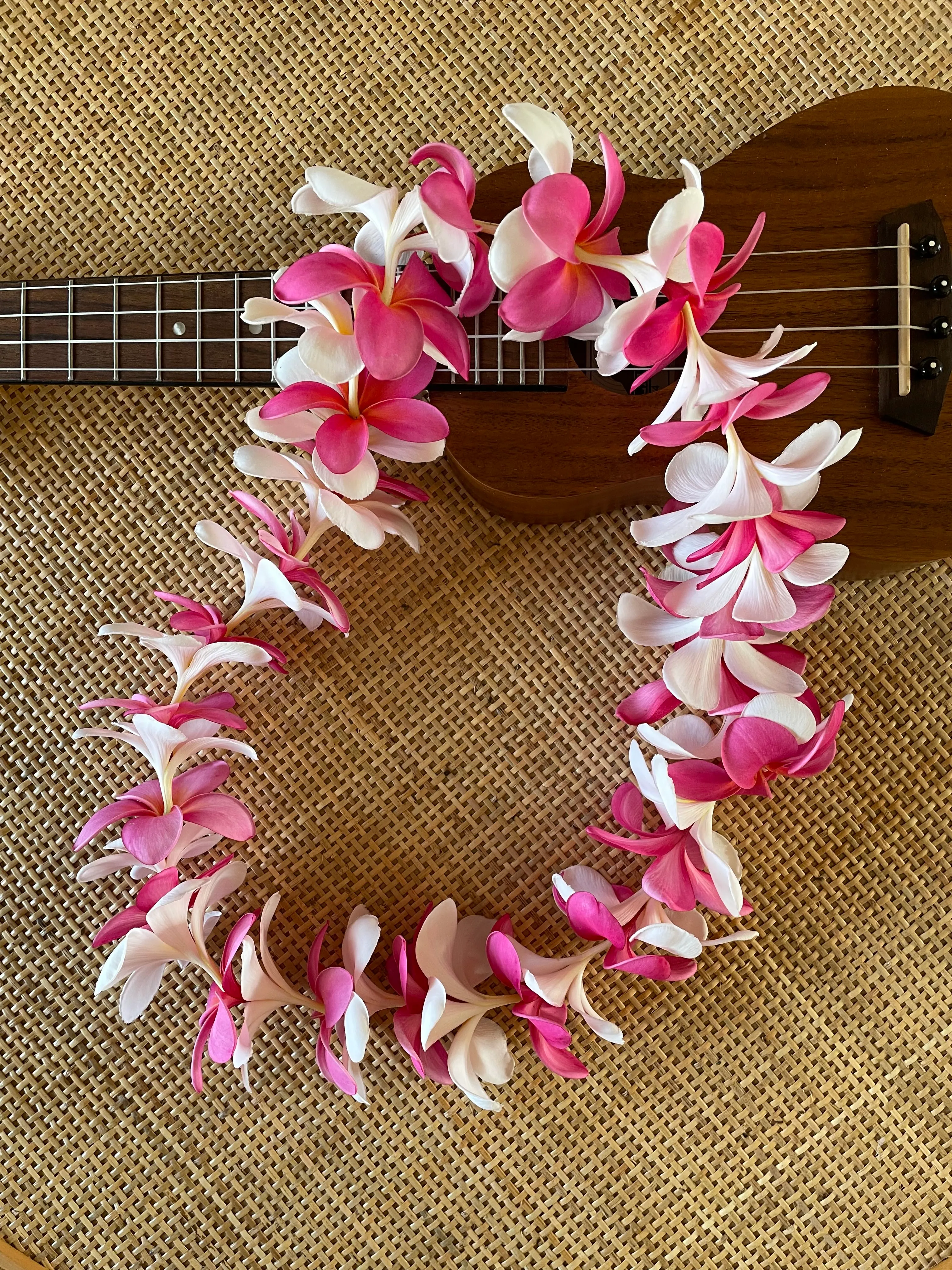 Plumeria Lei (White & Pink) image