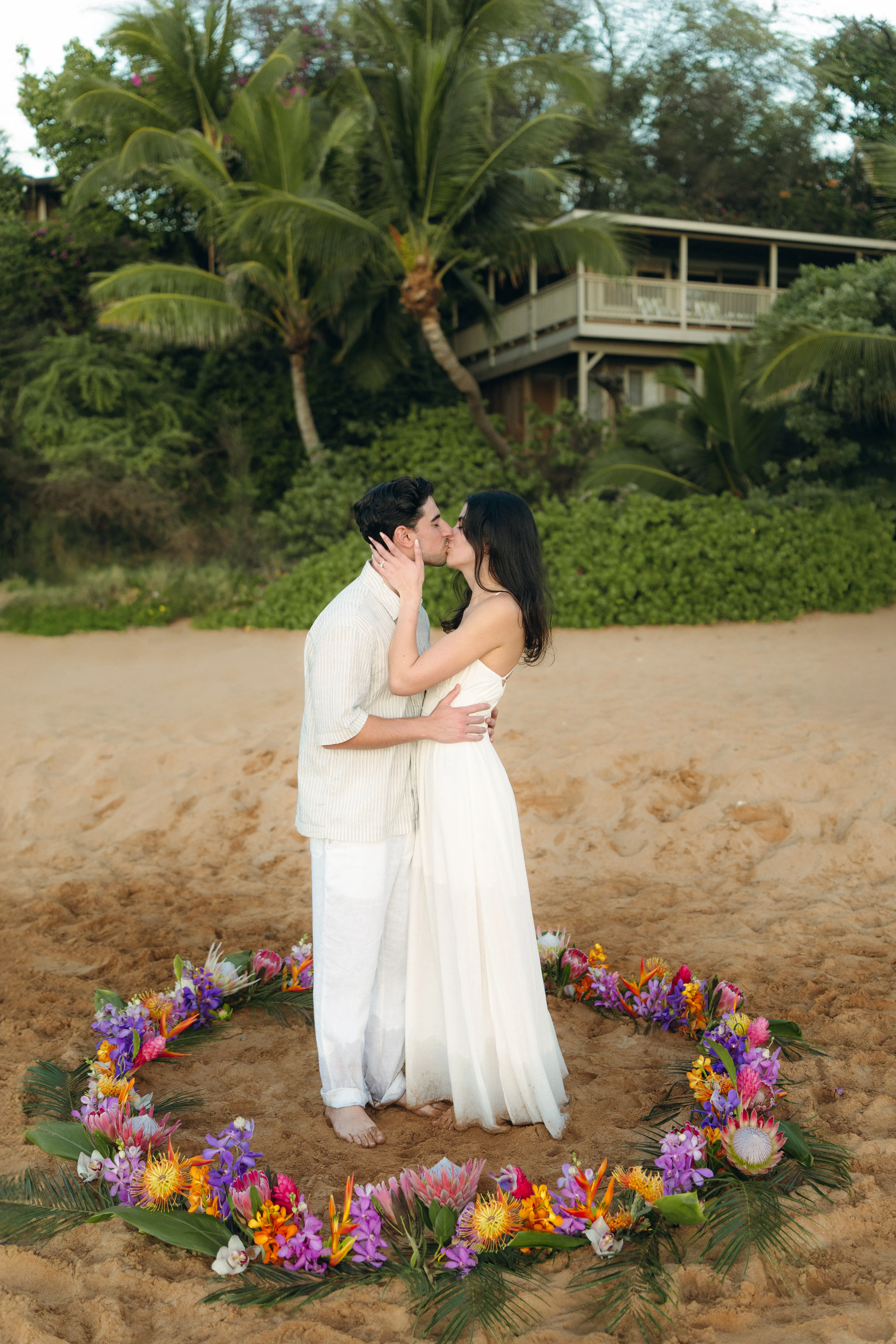 Tropical Circle image